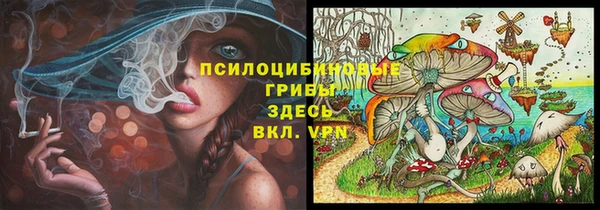 дмт Протвино