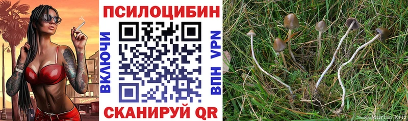 Галлюциногенные грибы мицелий  Купить где  Пойковский 